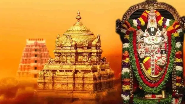 ../public/images/1686535213.jpg